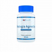 Заказать Noxygen Fadogia Agrestis 20:1 300 мг 90 таб